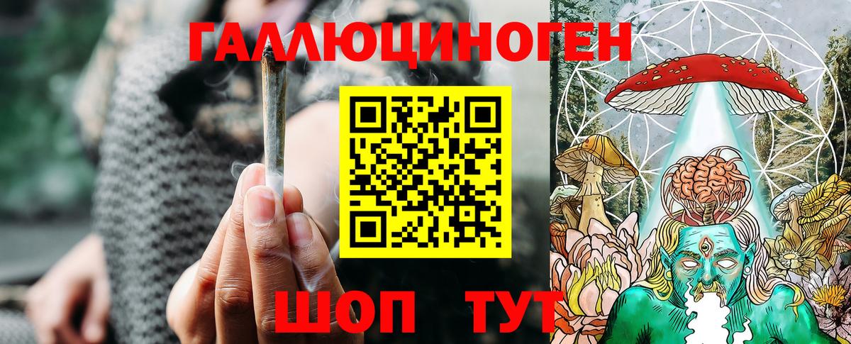 Галлюциногенные грибы Psilocybine cubensis Партизанск
