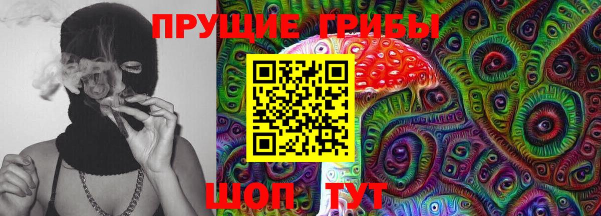 Партизанск  Галлюциногенные грибы прущие грибы  Вход с VPN  Псилоцибиновые грибы мухоморы 